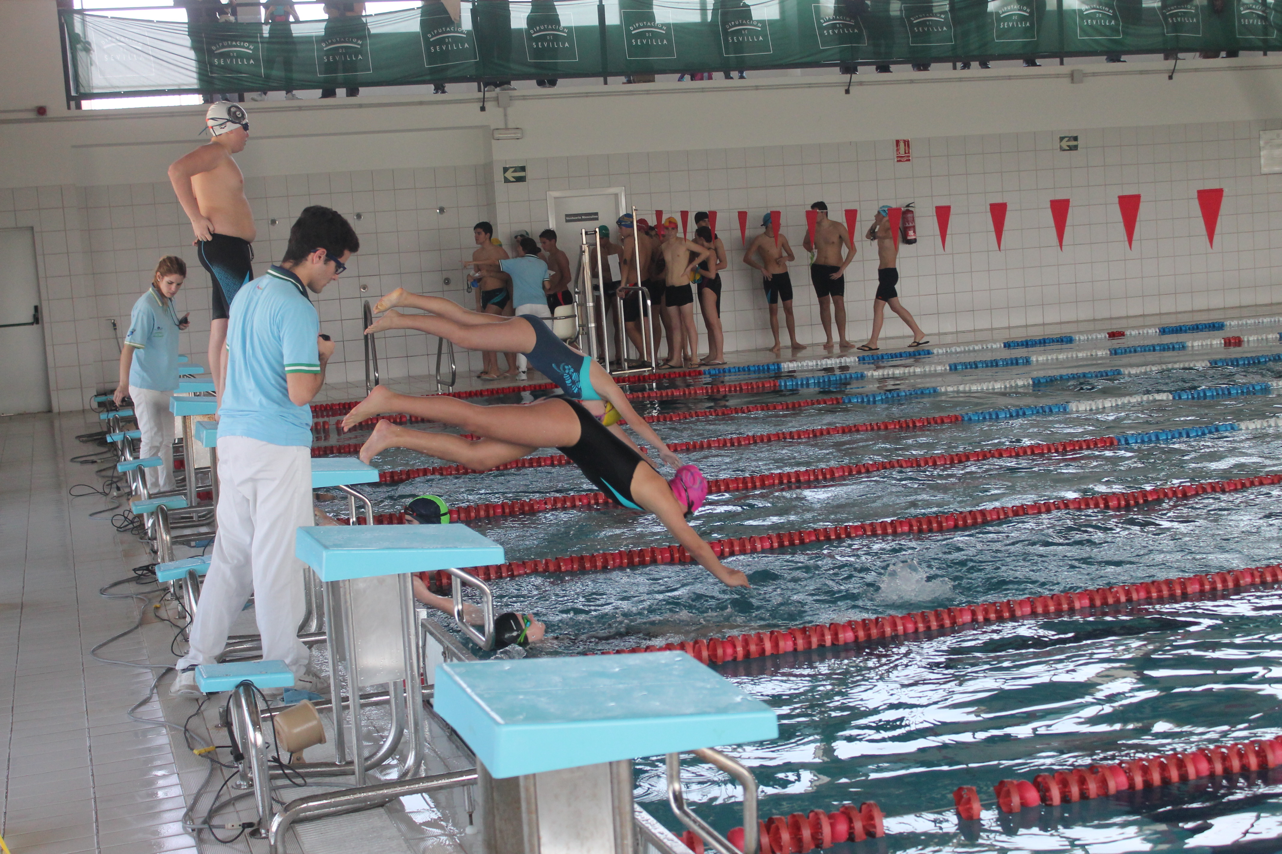 Los nadadores del Natación Utrera participan este sábado en la tercera jornada deportiva del IMD.