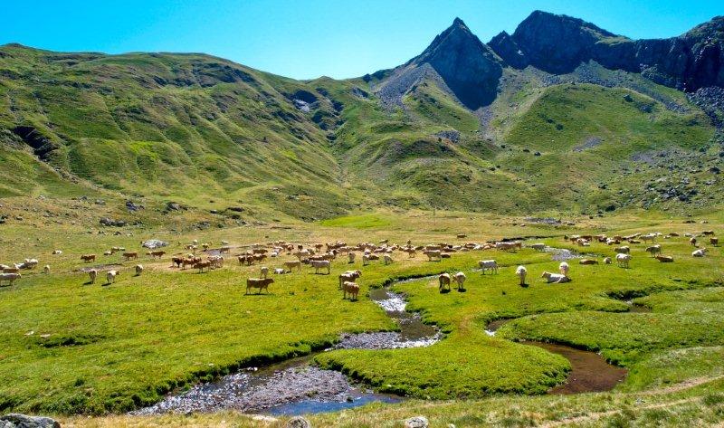 El Pirineo aragonés es el viaje propuesto por el programa de Turismo joven para las vacaciones de verano