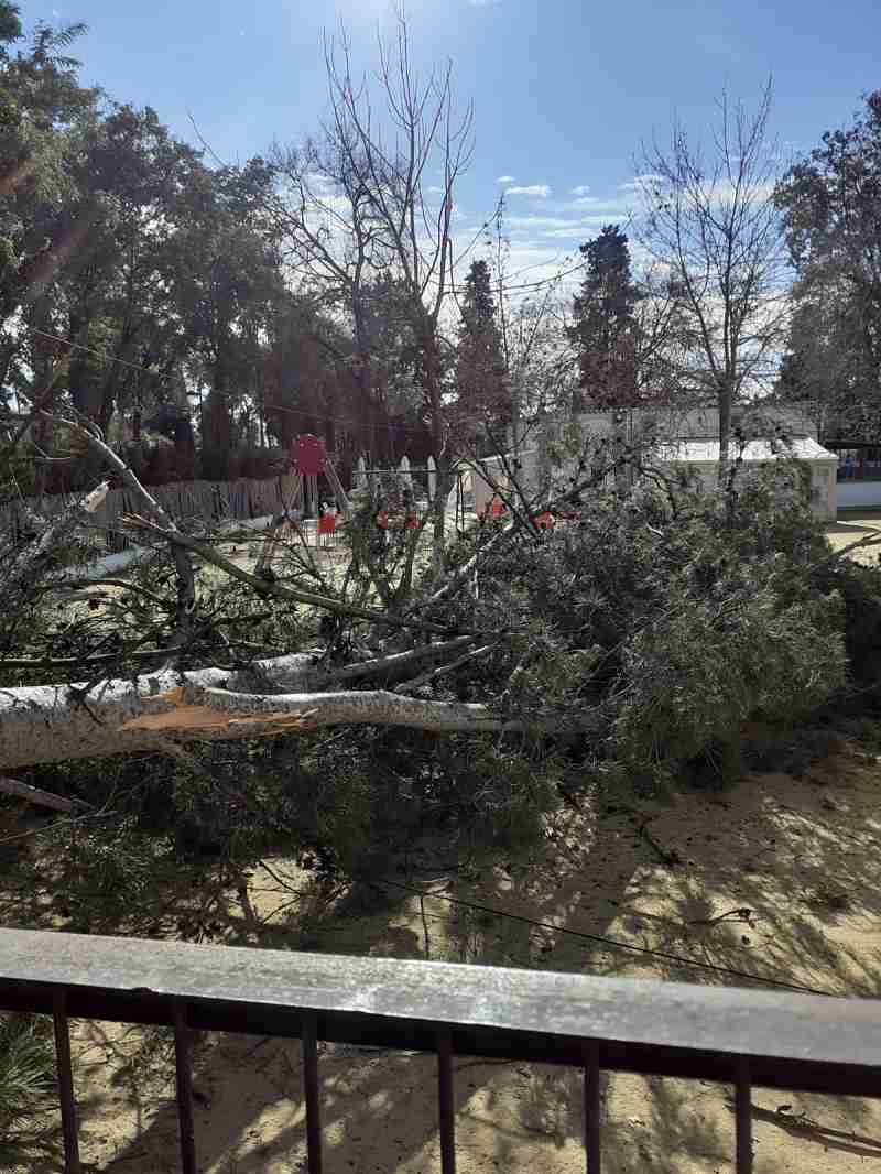 El viento provocó ayer, en Utrera, numerosos destrozos y el cierre de los parques