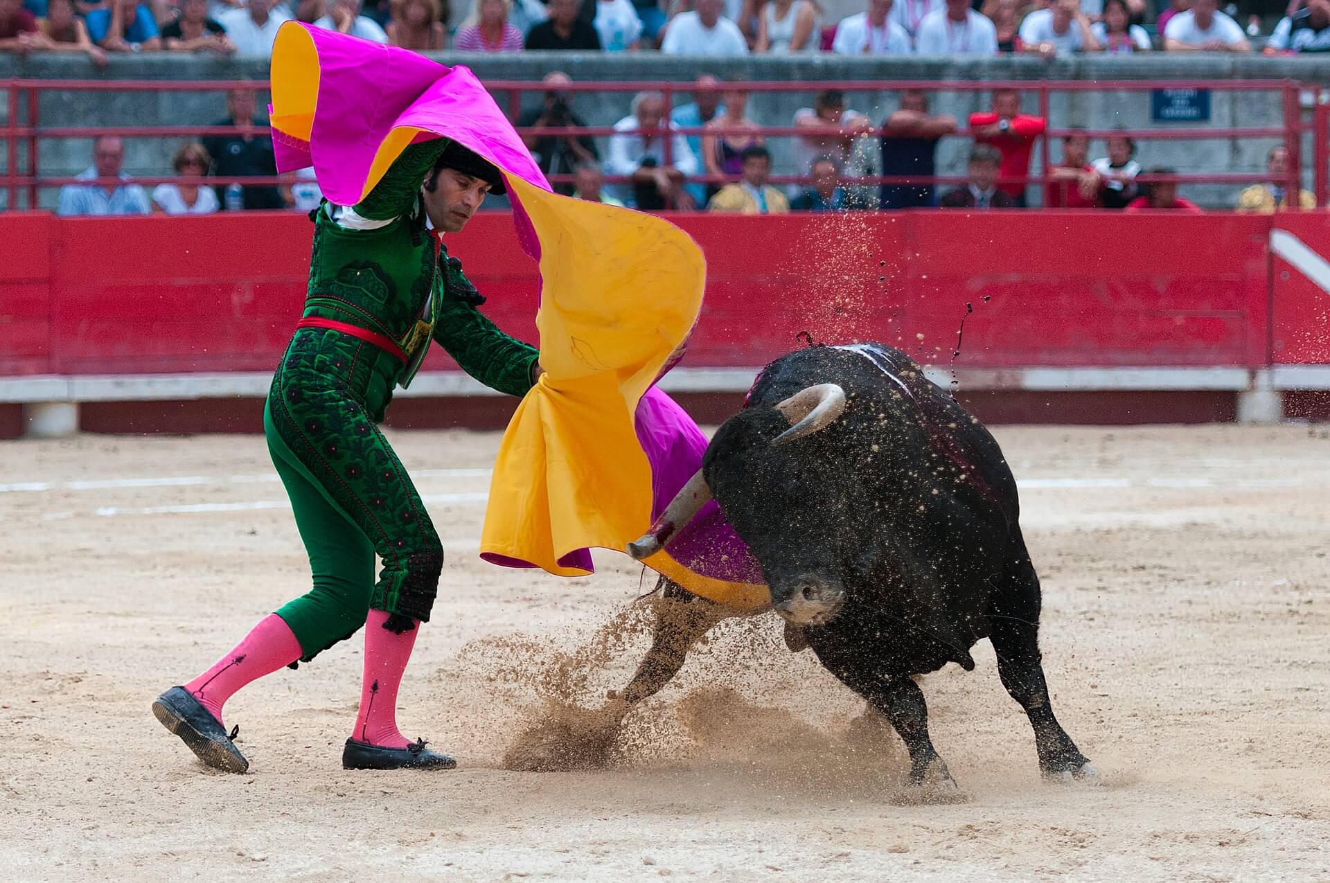 Más País Utrera critica la subvención de los festejos taurinos