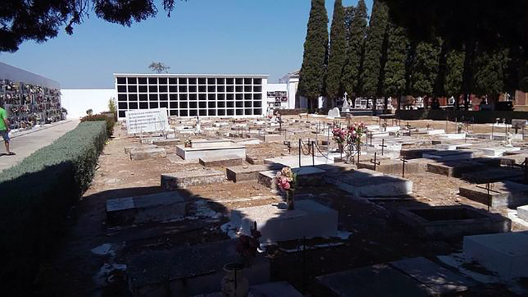 Los trabajos de exhumación de la fosa común de Utrera serán expuestos por la Diputación de Sevilla