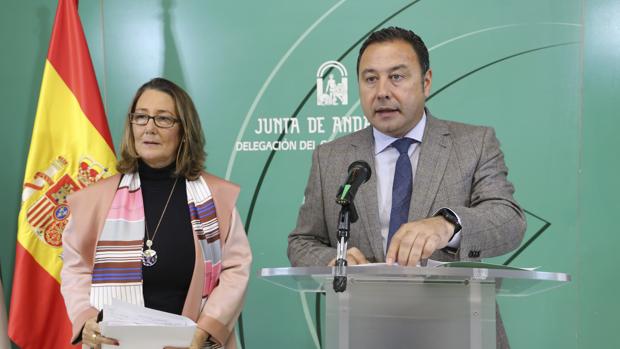 La delegada de Salud de Sevilla convoca una videoconferencia con la Plataforma de alcaldes