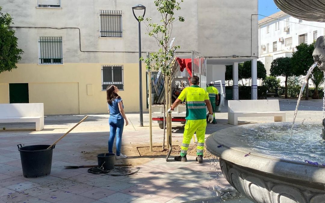 El PSOE denuncia una «falta de riego» en los 1.500 árboles plantados el último año