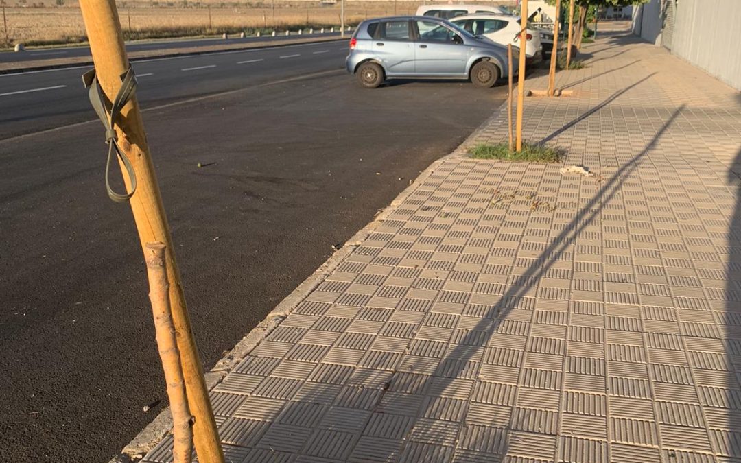 Actos vandálicos destrozan los árboles de la parte trasera del HARE