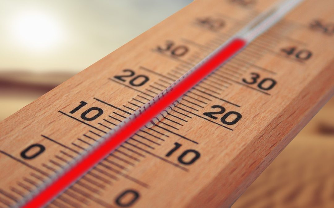 Utrera en aviso naranja por altas temperaturas de hasta 42 grados