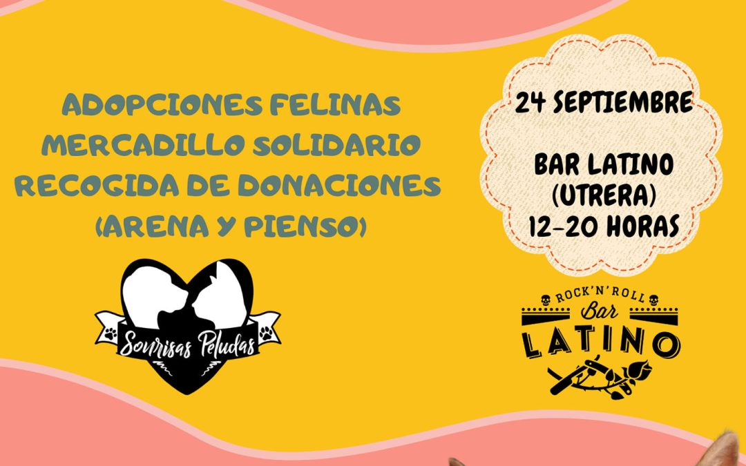 Nueva jornada de puertas abiertas en «Sonrisas Peludas» este domingo 24 de septiembre