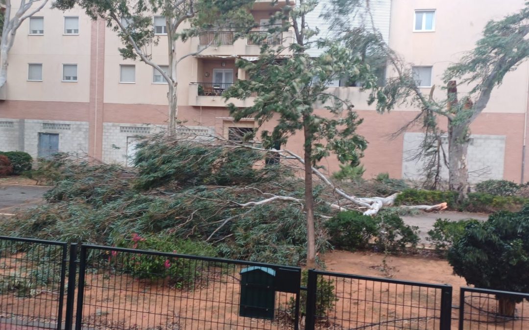 El Ayuntamiento ofrece tres teléfonos para que los ciudadanos puedan comunicar las incidencias por el temporal