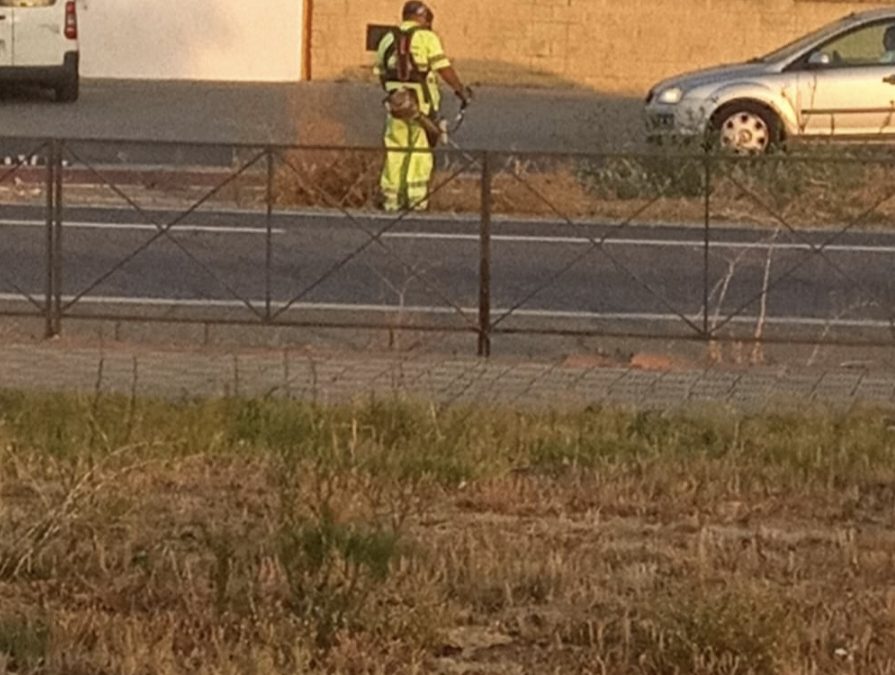 Iniciadas las obras de limpieza y desbroce de carreteras por parte de la Junta de Andalucia