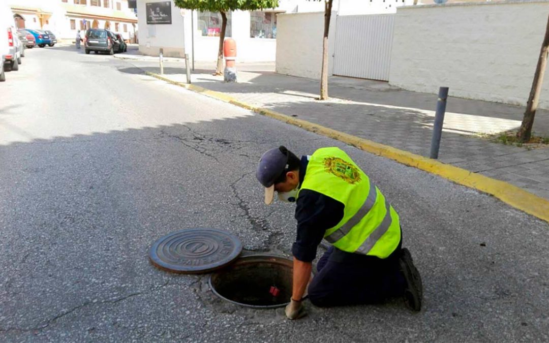 El ayuntamiento inicia una campaña de desratización y desinsectación a partir del 4 de junio