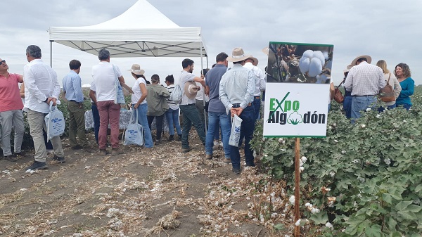 Éxito en la XI Expoalgodón celebrada en Trajano con profesionales agrícolas