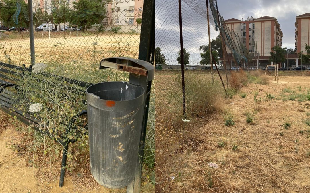 El PP anuncia la próxima construcción del nuevo campo de fútbol de Campoverde