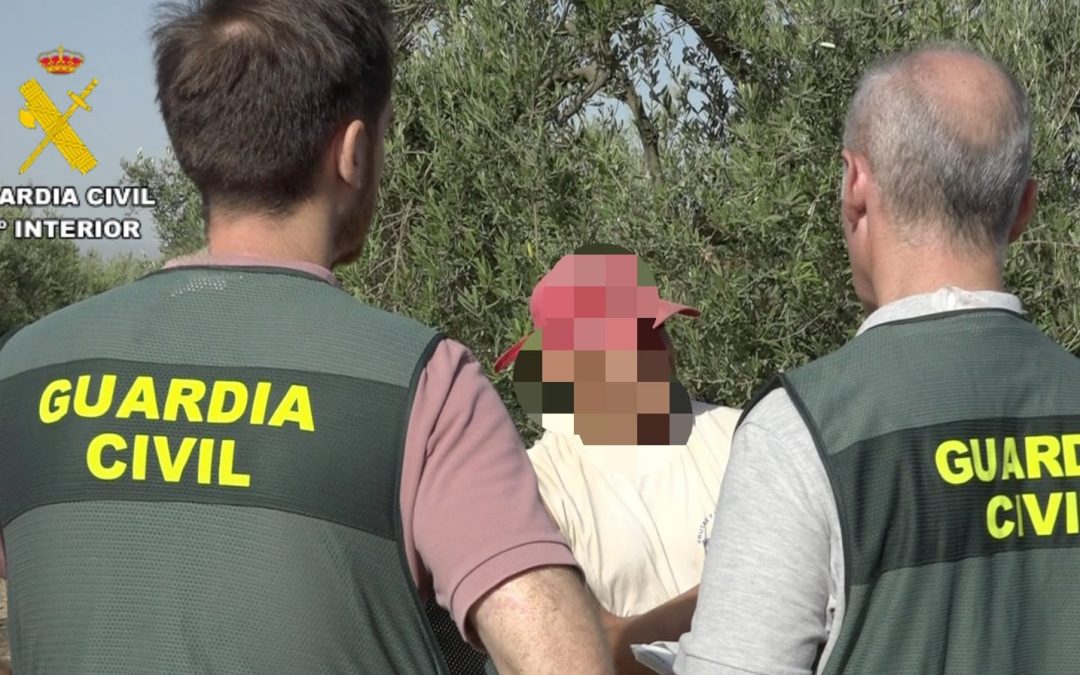 La Guardia Civil investiga a tres personas por delitos contra los derechos de los trabajadores en Utrera