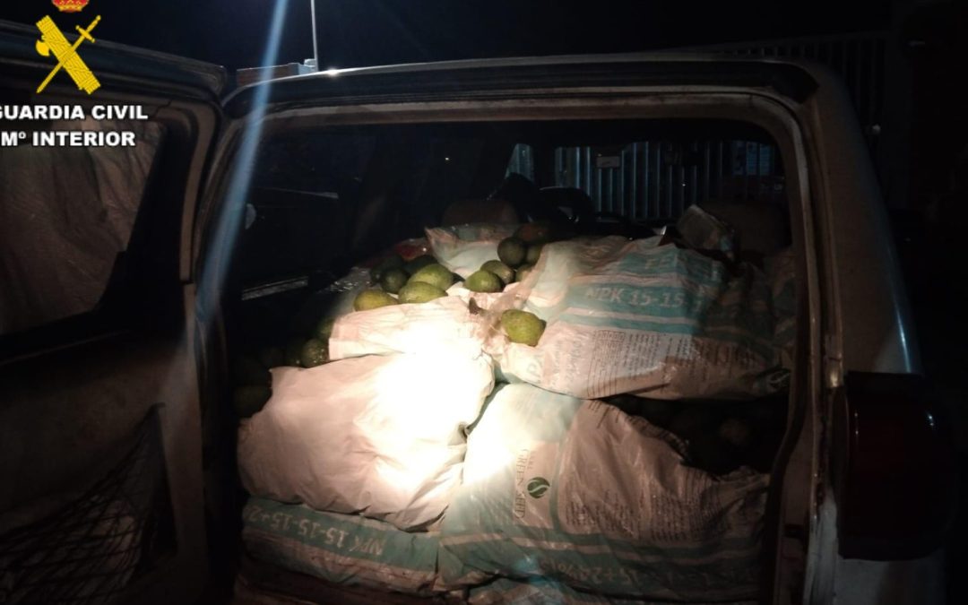 La Guardia Civil detiene a tres personas por robar 560kg de aguacate en Utrera