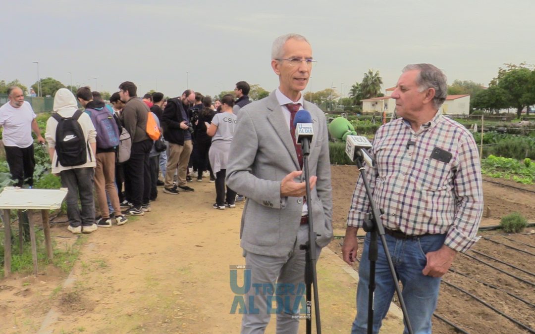 El ayuntamiento impulsa el proyecto RECICOMPHUERTOS del CSIC en los huertos sociales utreranos [vídeo]