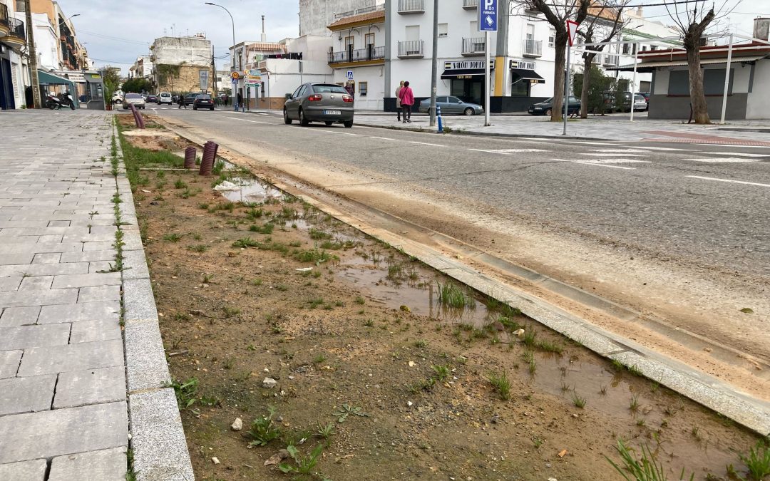 Abierto el plazo de licitación para las obras de mejora en La Vereda