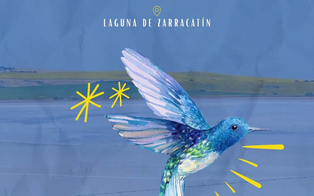 Adelquivir propone una jornada de observación de aves en la Laguna de Zarracatín partiendo desde El Palmar de Troya