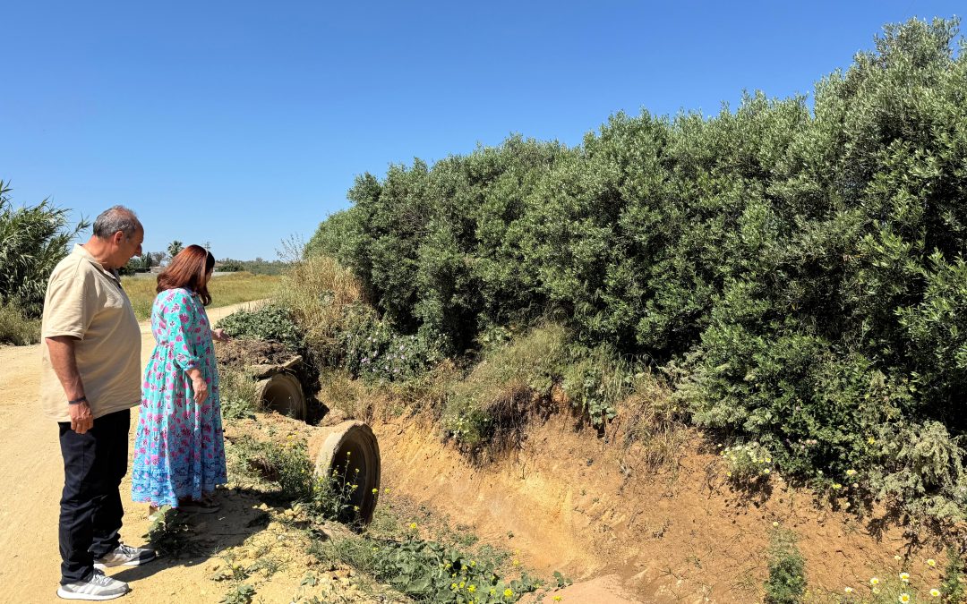 El Ayuntamiento y la Junta de Andalucía acometen arreglos en distintos caminos del término municipal