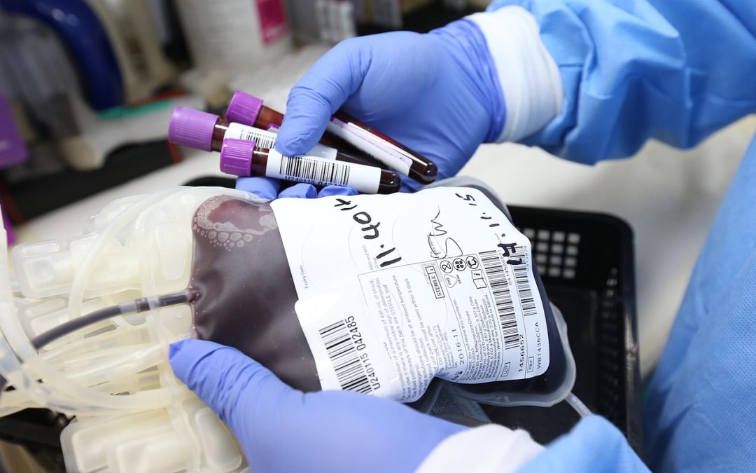 Últimos días de la nueva campaña de donación de sangre en la Casa-Hermandad de Los Gitanos de Utrera