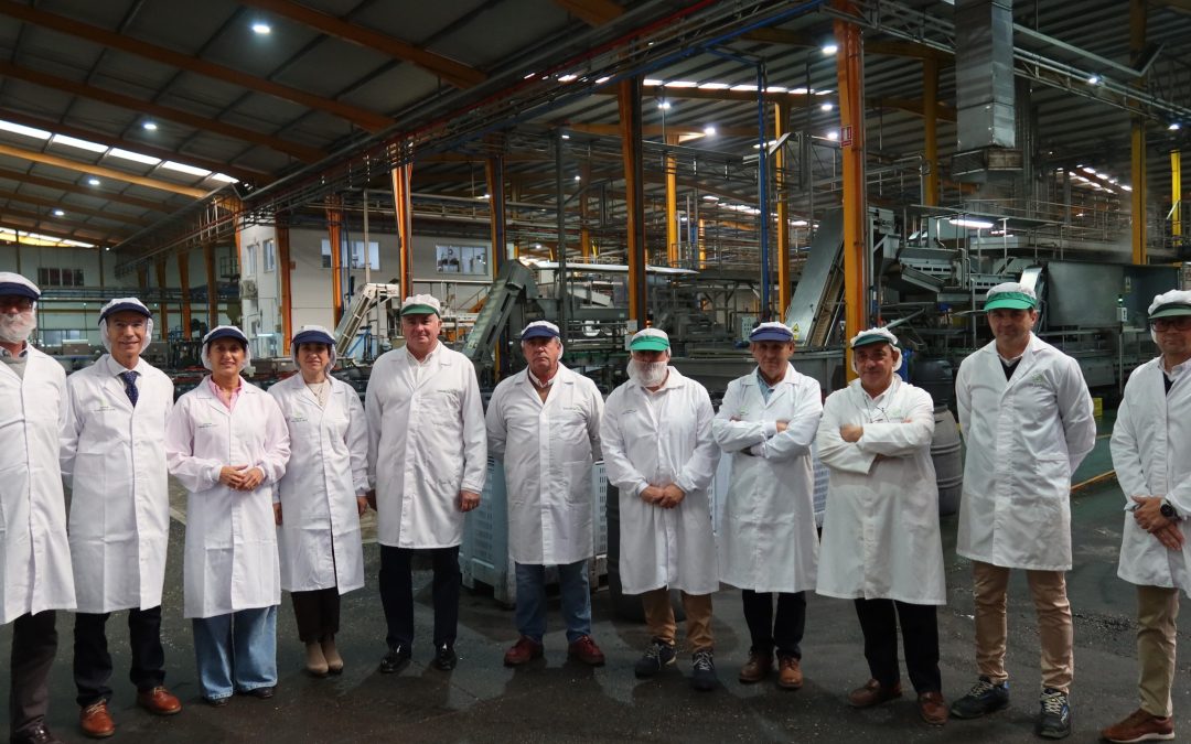 La delegada territorial de Agricultura y el alcalde de Utrera visitan las instalaciones de Oleand Manzanilla Olive