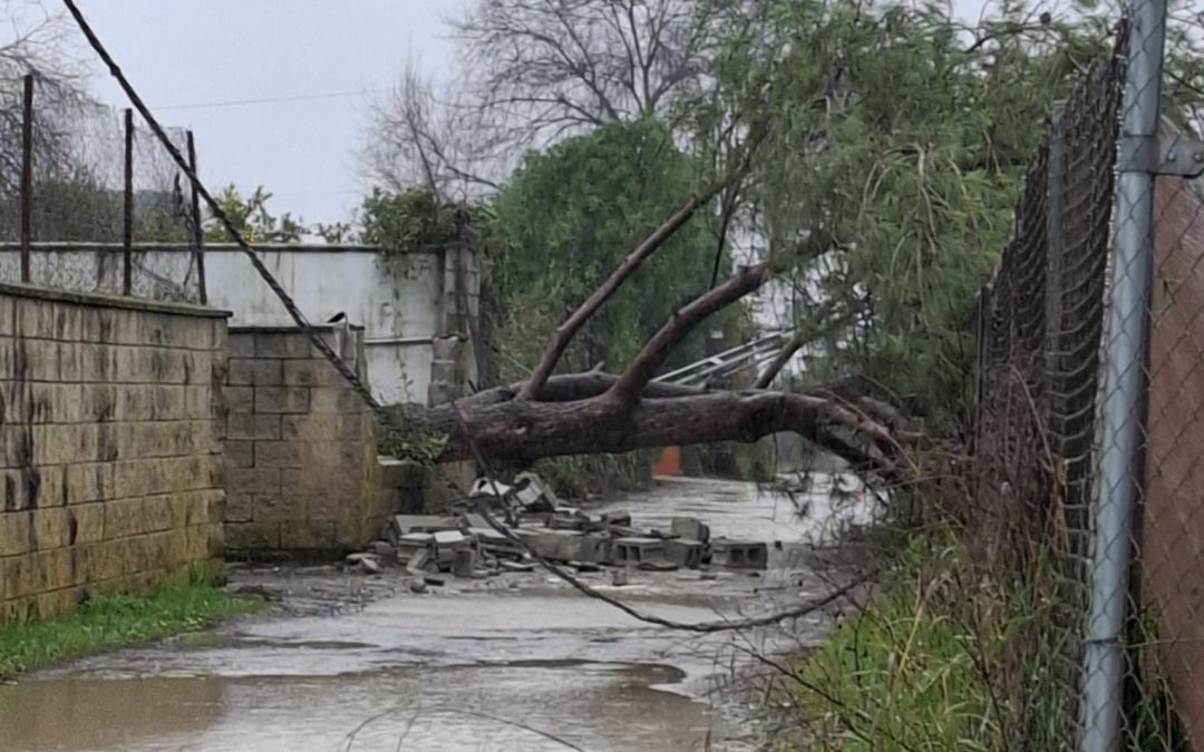 La alerta amarilla de viento y lluvia de este 27 de enero dejó numerosas incidencias en Utrera