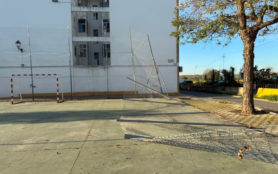 El PSOE denuncia el «abandono» de las pistas deportivas del Matadero