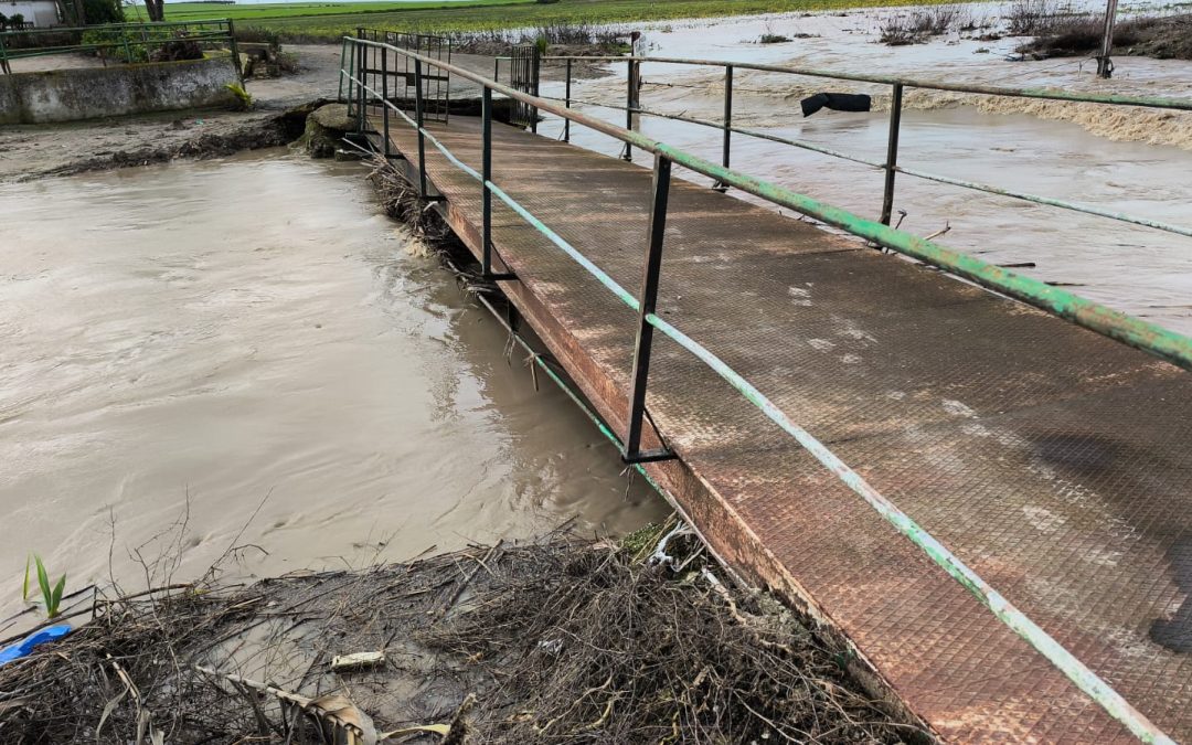 La situación por el temporal se complica en el Palmar de Troya y en las pedanías de Guadalema y Pinzón