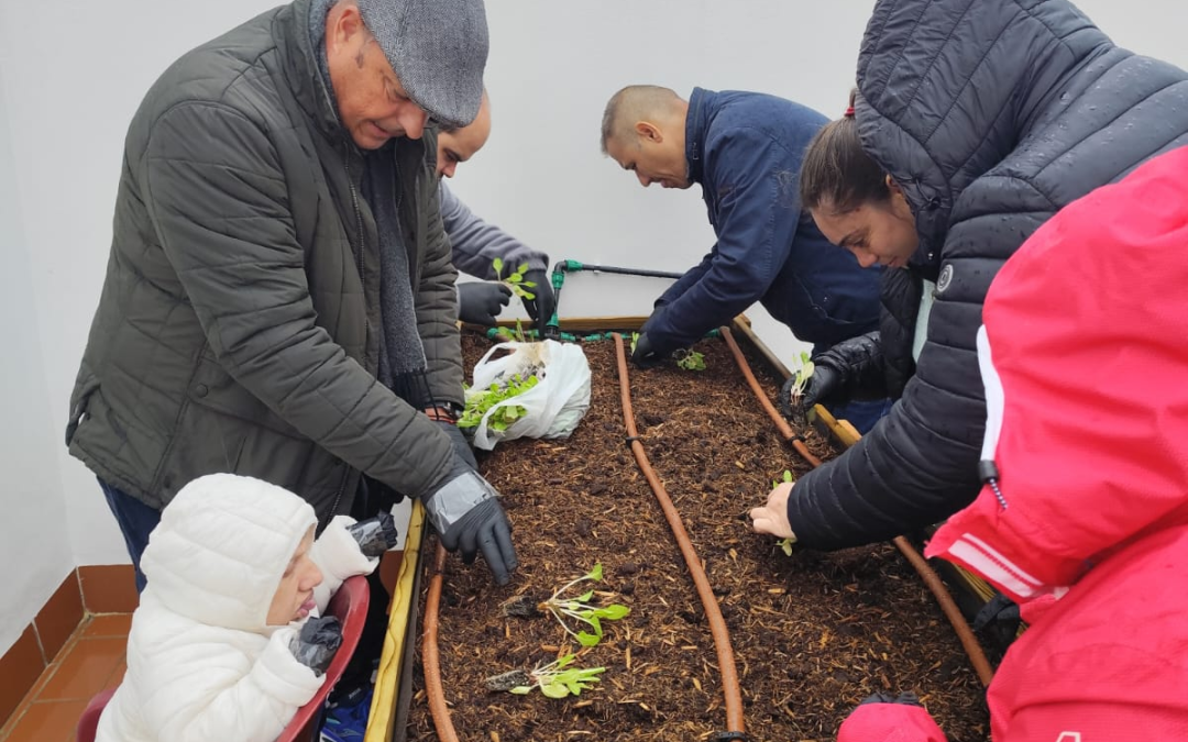 Apdis creará huertos ecológicos adaptados como método de inclusión social