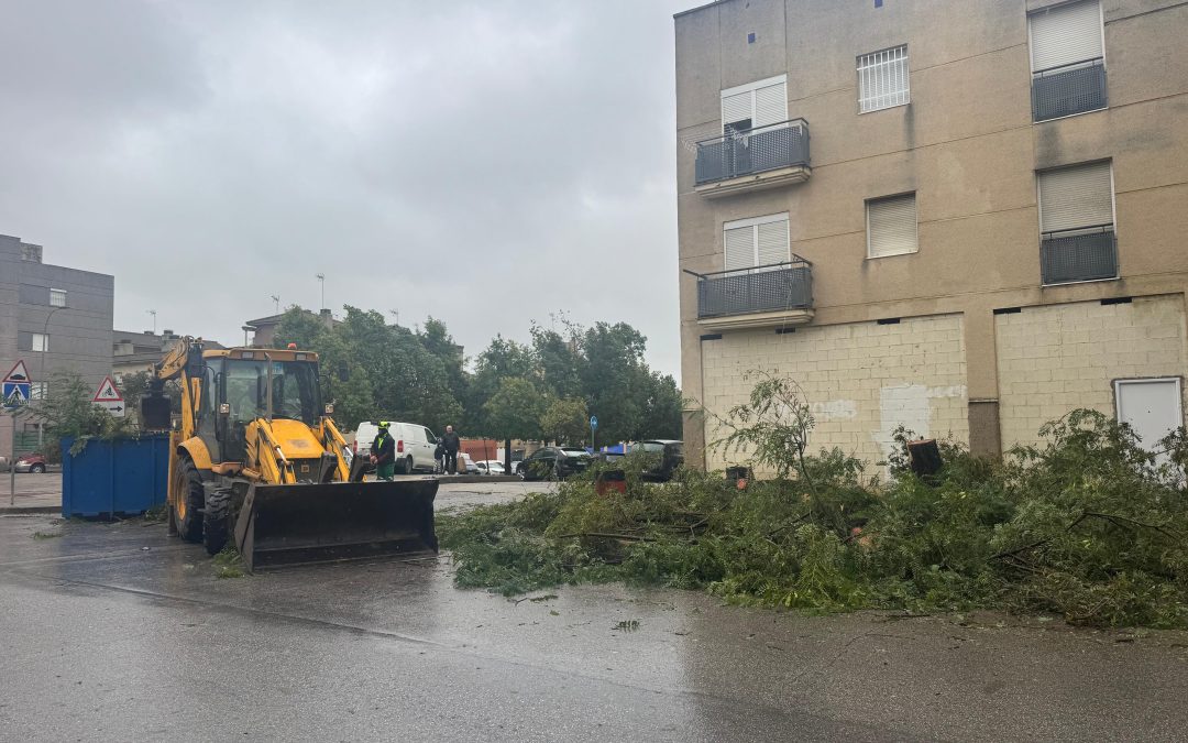 La borrasca Leonardo abandonará Utrera en las próximas horas con vigilancia en Guadalema y Pinzón
