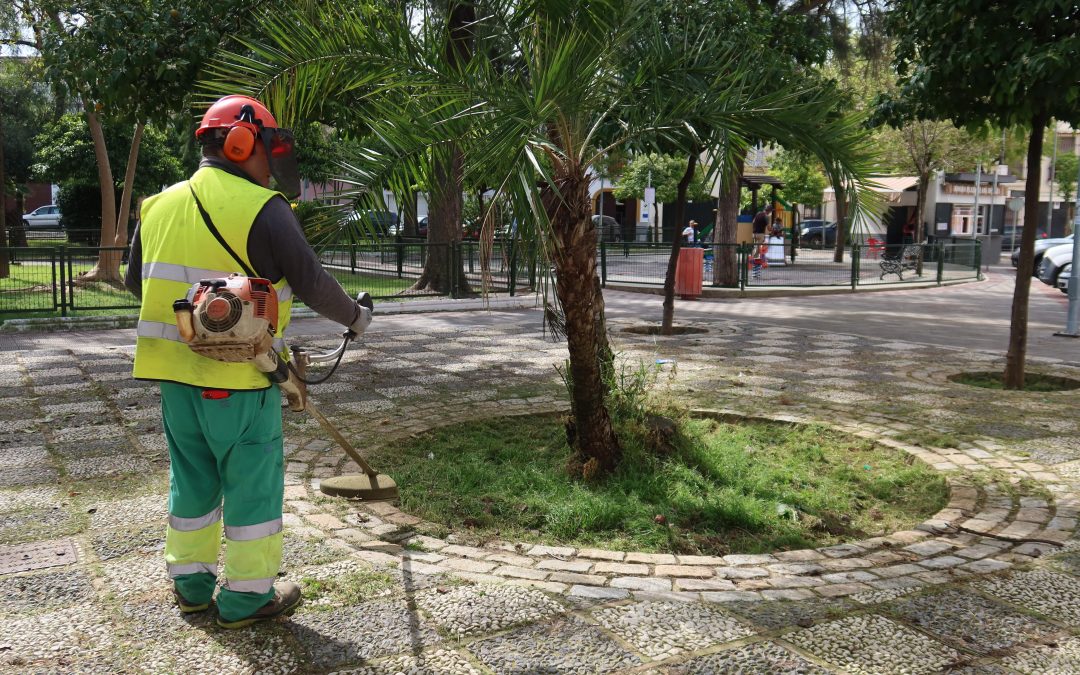El Ayuntamiento de Utrera pone en marcha una campaña para la retirada de hierba en acerados