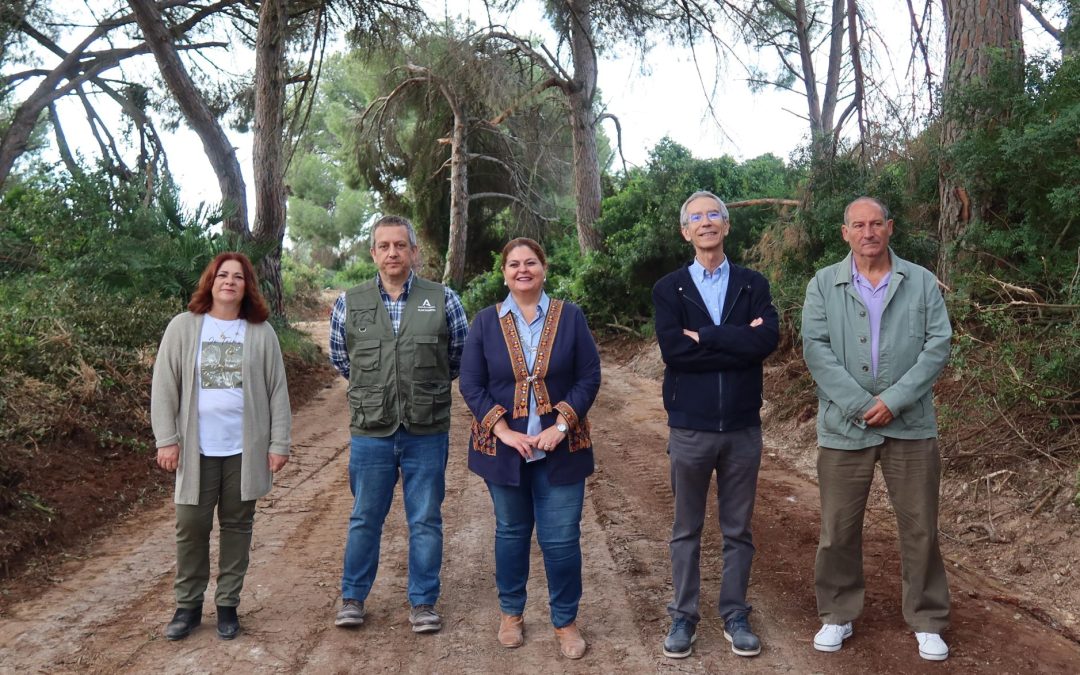 Acondicionada la Vereda de Dos Hermanas dentro del Plan Romero 2026 de la Junta de Andalucía