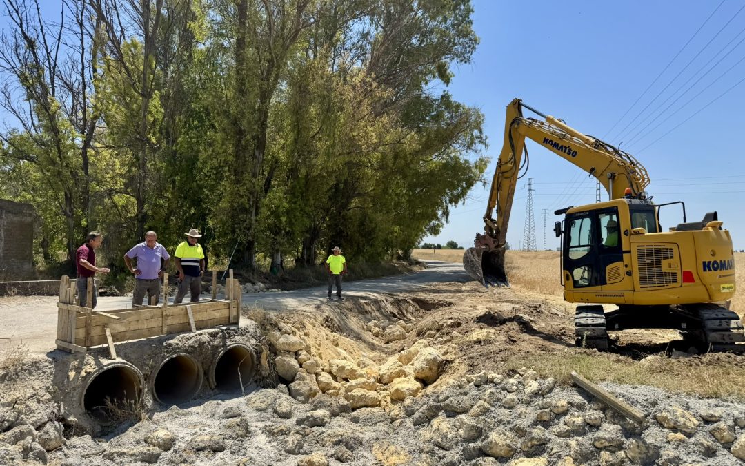 La Junta de Andalucía ejecuta las obras de emergencia en los cuatro caminos rurales de Utrera solicitados por el Ayuntamiento