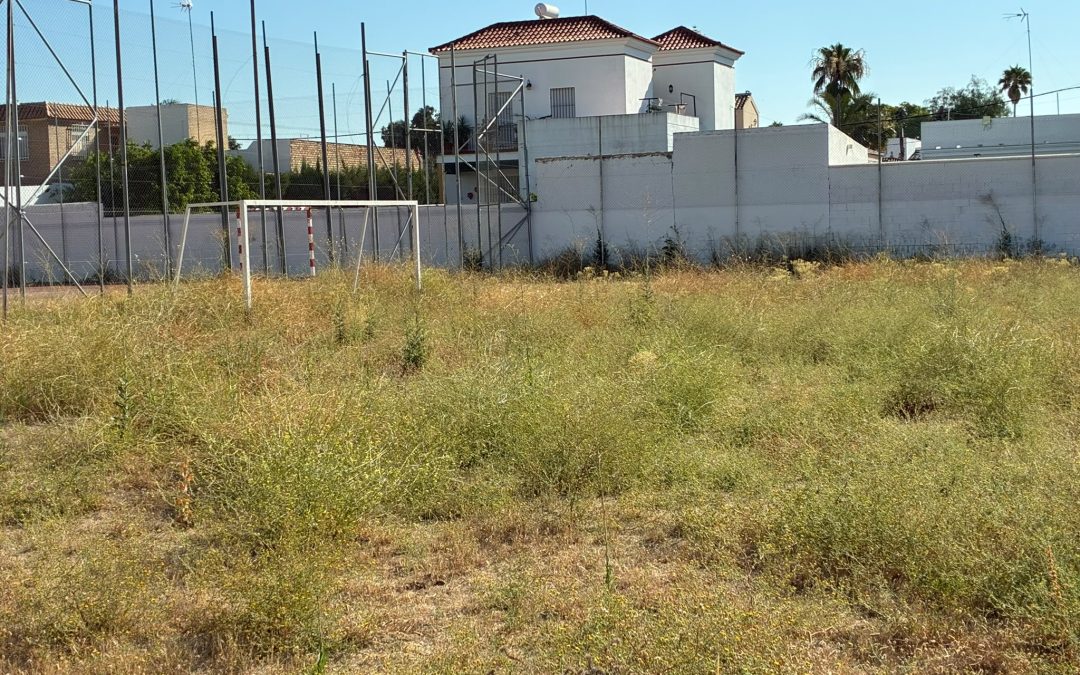 El PSOE denuncia el «evidente deterioro» de las instalaciones deportivas de Utrera y exigen un Plan Integral de Mantenimiento