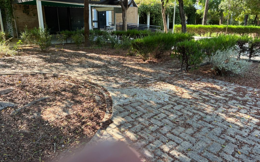 El PSOE de Utrera denuncia el «abandono y la falta de gestión» en los parques de Las Fabricantas y el Cristo de los Afligidos