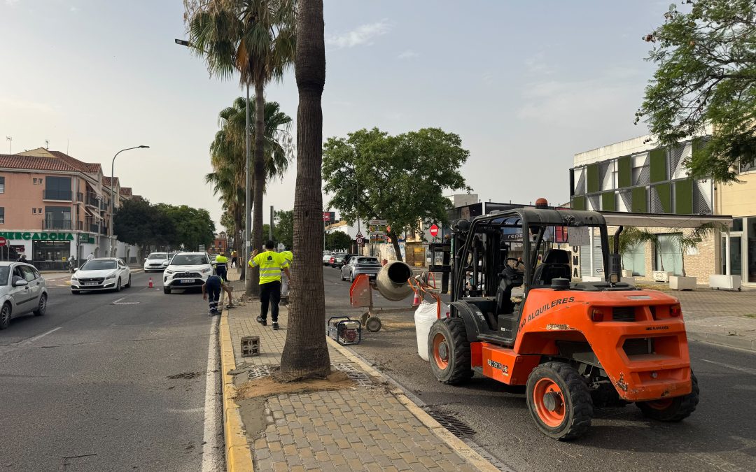 Continúan los trabajos en la entrada de Utrera con mejoras en las rotondas y medianas hasta La Trianilla