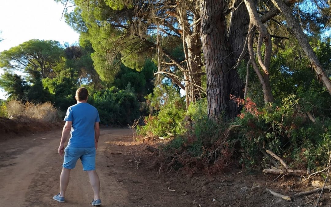 IU Utrera denuncia ante el SEPRONA posibles daños ambientales en la Vereda de Dos Hermanas por las obras del Plan Romero 2026