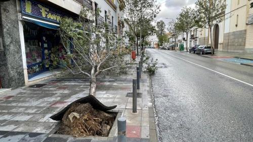 WhatsApp-Image-2023-10-22-at-23.06.00