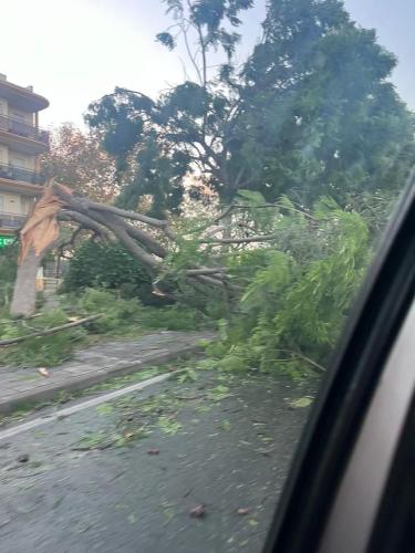 WhatsApp-Image-2023-10-22-at-23.06.02