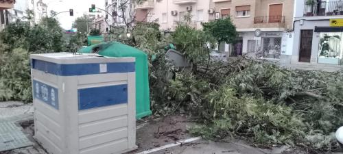 WhatsApp-Image-2023-10-22-at-23.06.52