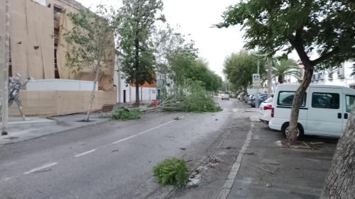 WhatsApp-Image-2023-10-22-at-23.06.53