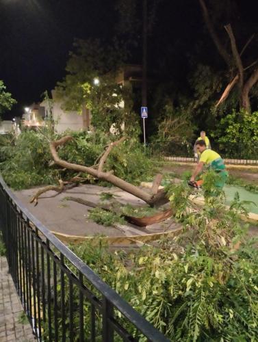 WhatsApp-Image-2023-10-22-at-23.14.09