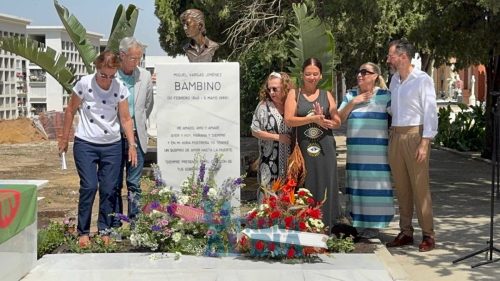 photo 5902346897039937062 y