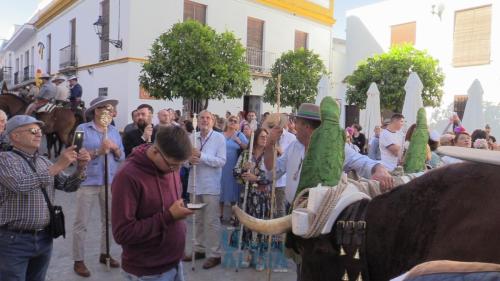 Romeria-el-rocio-2024-15