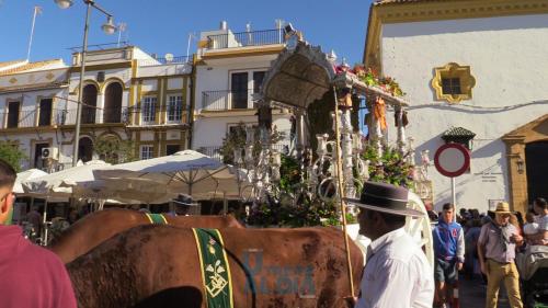 Romeria-el-rocio-2024-63