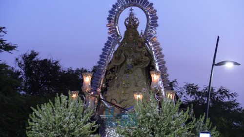 IMG 5555