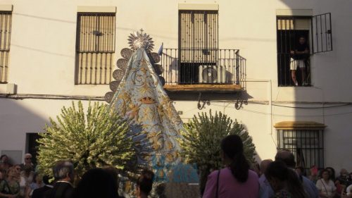 IMG 3583