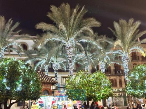 photo 20 2024-12-06 12-05-01