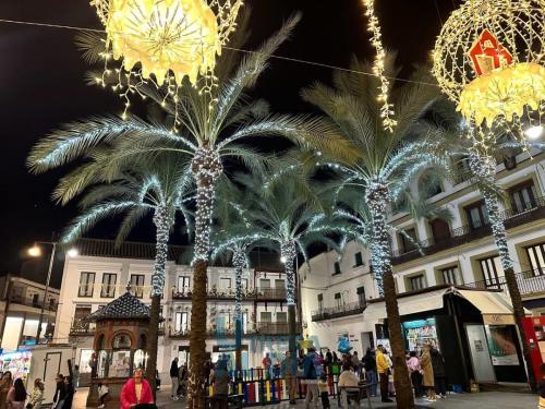 photo 32 2024-12-06 12-05-01