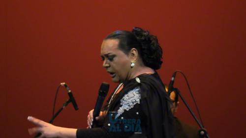 via-lucisIMG 3662patrona