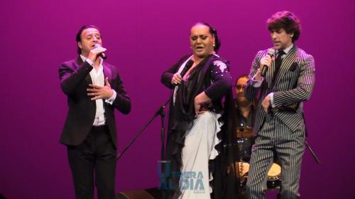 via-lucisIMG 3690patrona