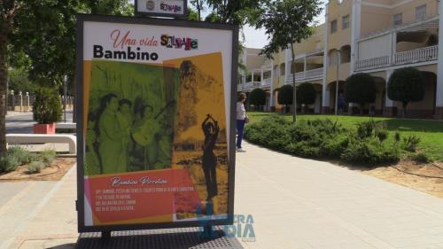 expo-bambino-paseo-4